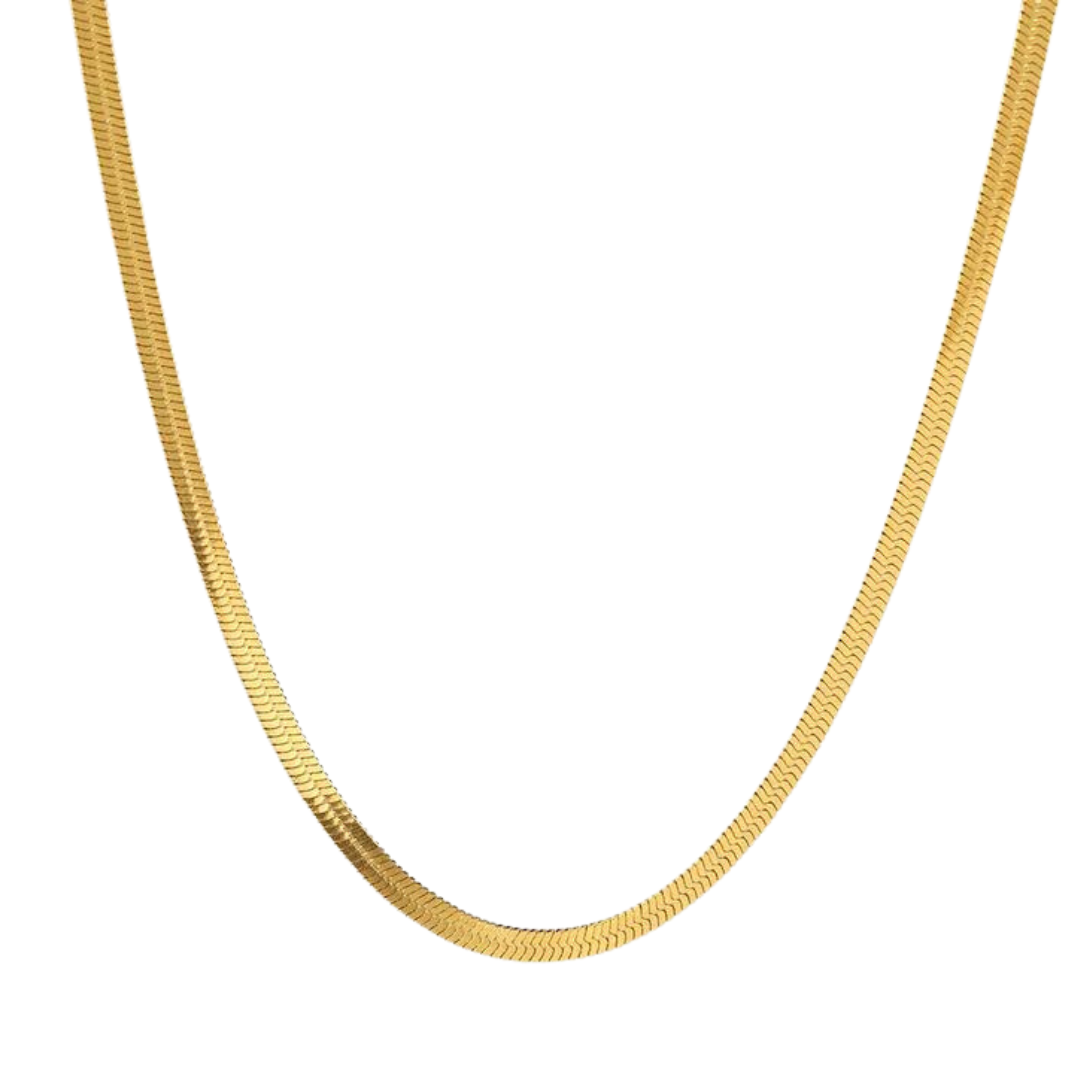 Classic Snake Chain Necklace